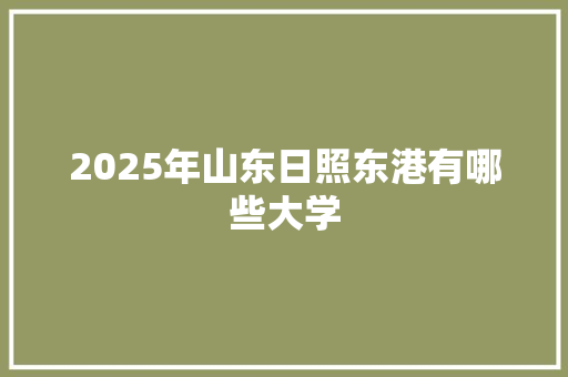 2025年山东日照东港有哪些大学