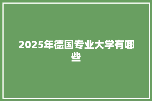 2025年德国专业大学有哪些