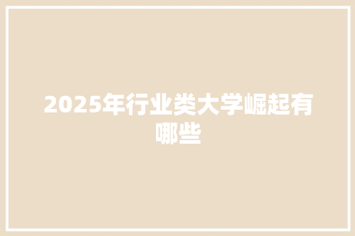 2025年行业类大学崛起有哪些