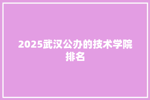 2025武汉公办的技术学院排名