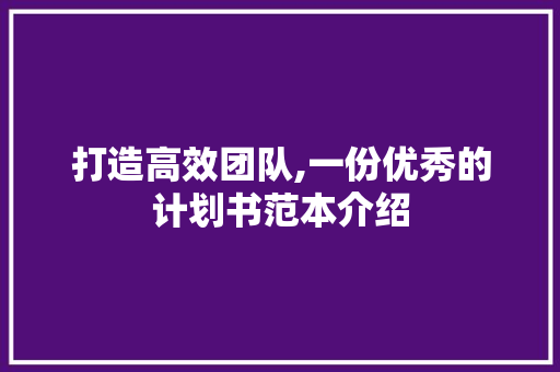 打造高效团队,一份优秀的计划书范本介绍