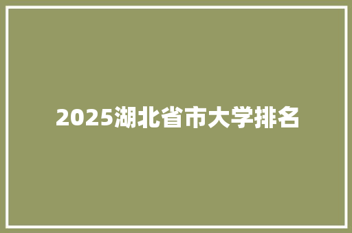 2025湖北省市大学排名
