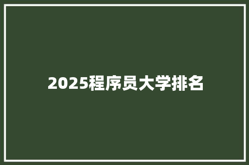 2025程序员大学排名