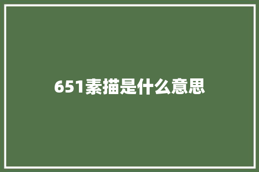 651素描是什么意思