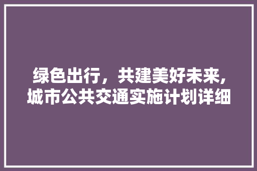 绿色出行，共建美好未来,城市公共交通实施计划详细介绍
