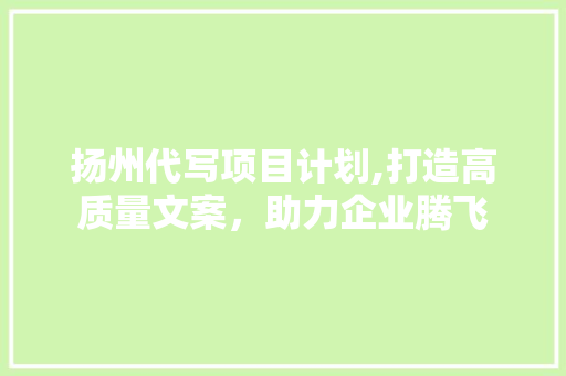 扬州代写项目计划,打造高质量文案，助力企业腾飞