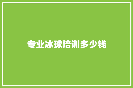 专业冰球培训多少钱