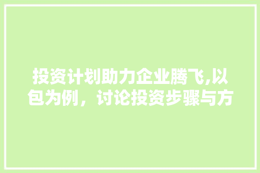 投资计划助力企业腾飞,以包为例，讨论投资步骤与方法