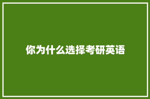 你为什么选择考研英语