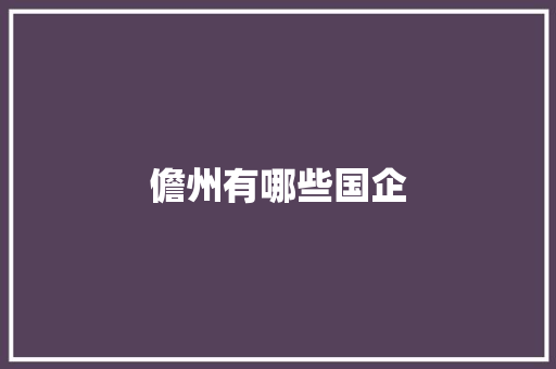 儋州有哪些国企