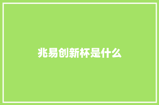 兆易创新杯是什么