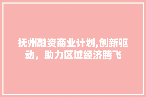 抚州融资商业计划,创新驱动，助力区域经济腾飞