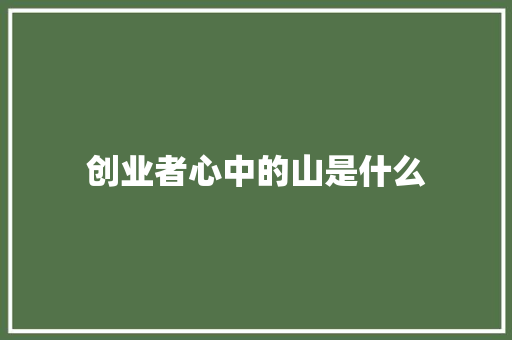 创业者心中的山是什么