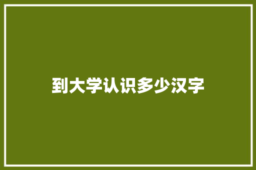 到大学认识多少汉字