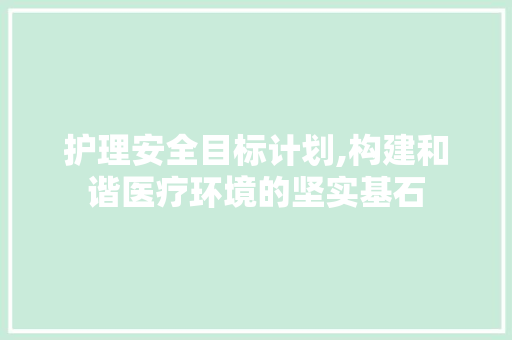 护理安全目标计划,构建和谐医疗环境的坚实基石