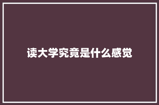 读大学究竟是什么感觉