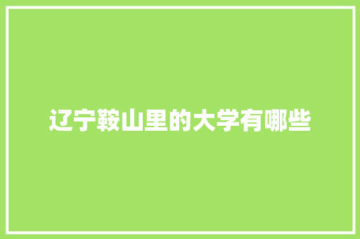 辽宁鞍山里的大学有哪些
