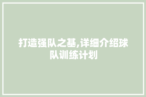 打造强队之基,详细介绍球队训练计划