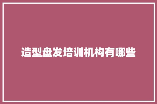 造型盘发培训机构有哪些