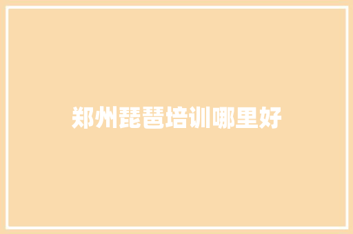郑州琵琶培训哪里好