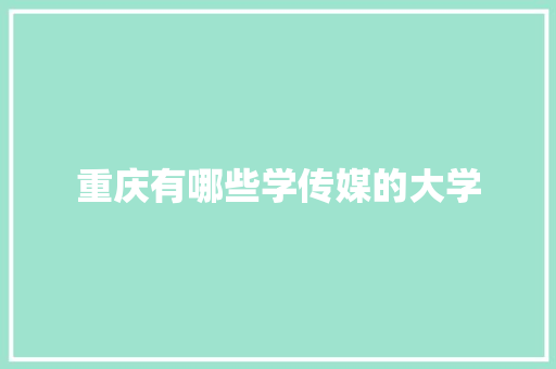 重庆有哪些学传媒的大学