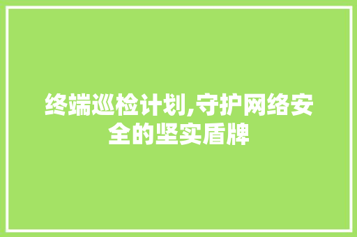 终端巡检计划,守护网络安全的坚实盾牌