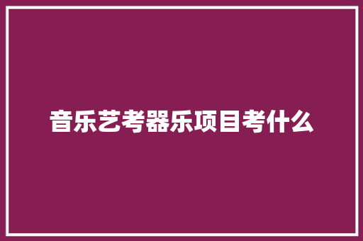 音乐艺考器乐项目考什么