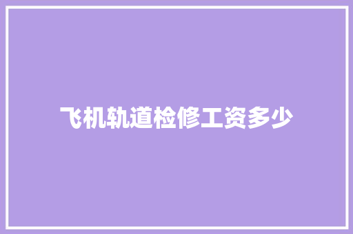 飞机轨道检修工资多少