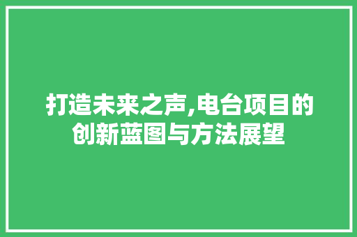 打造未来之声,电台项目的创新蓝图与方法展望