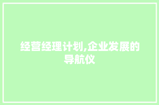 经营经理计划,企业发展的导航仪