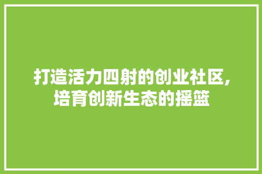 打造活力四射的创业社区,培育创新生态的摇篮