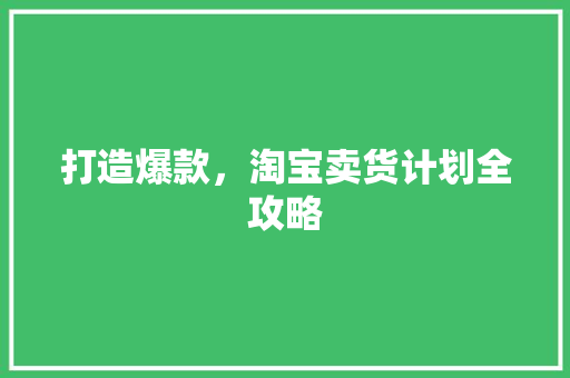 打造爆款，淘宝卖货计划全攻略
