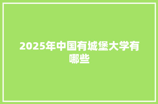 2025年中国有城堡大学有哪些