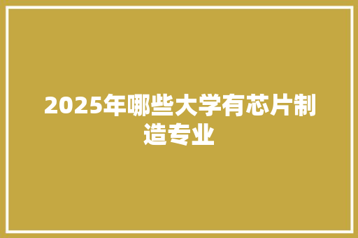 2025年哪些大学有芯片制造专业