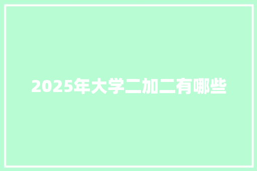 2025年大学二加二有哪些