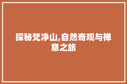 探秘梵净山,自然奇观与禅意之旅