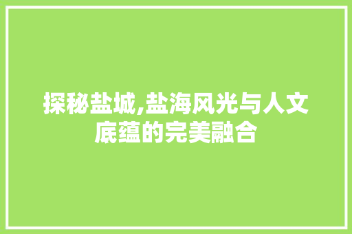 探秘盐城,盐海风光与人文底蕴的完美融合