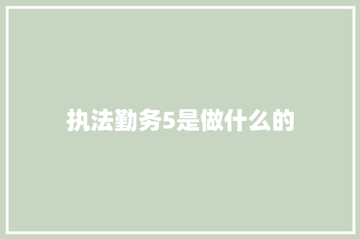 执法勤务5是做什么的