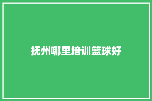 抚州哪里培训篮球好