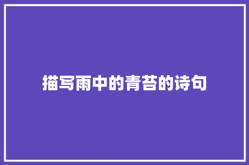 描写雨中的青苔的诗句