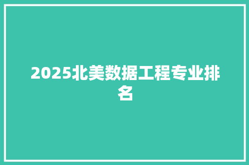 2025北美数据工程专业排名