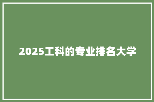 2025工科的专业排名大学