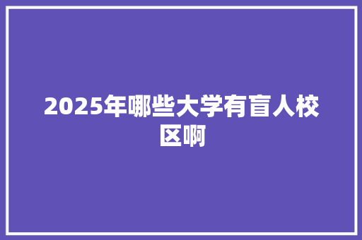 2025年哪些大学有盲人校区啊