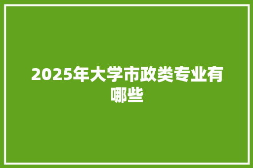2025年大学市政类专业有哪些