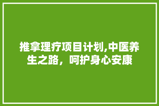 推拿理疗项目计划,中医养生之路，呵护身心安康