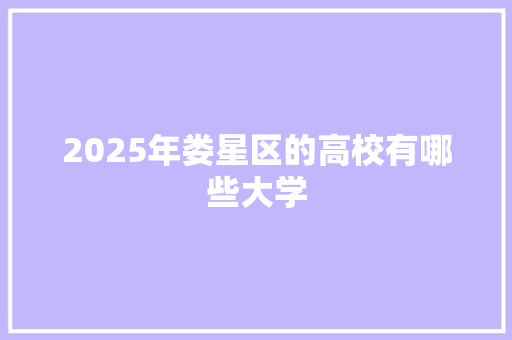 2025年娄星区的高校有哪些大学