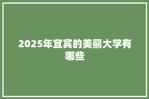 2025年宜宾的美丽大学有哪些