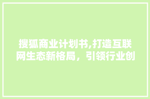 搜狐商业计划书,打造互联网生态新格局，引领行业创新潮流
