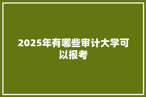 2025年有哪些审计大学可以报考