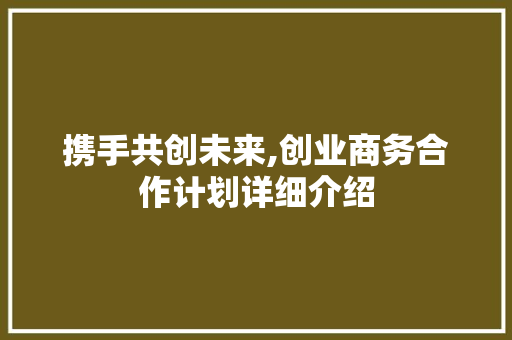 携手共创未来,创业商务合作计划详细介绍